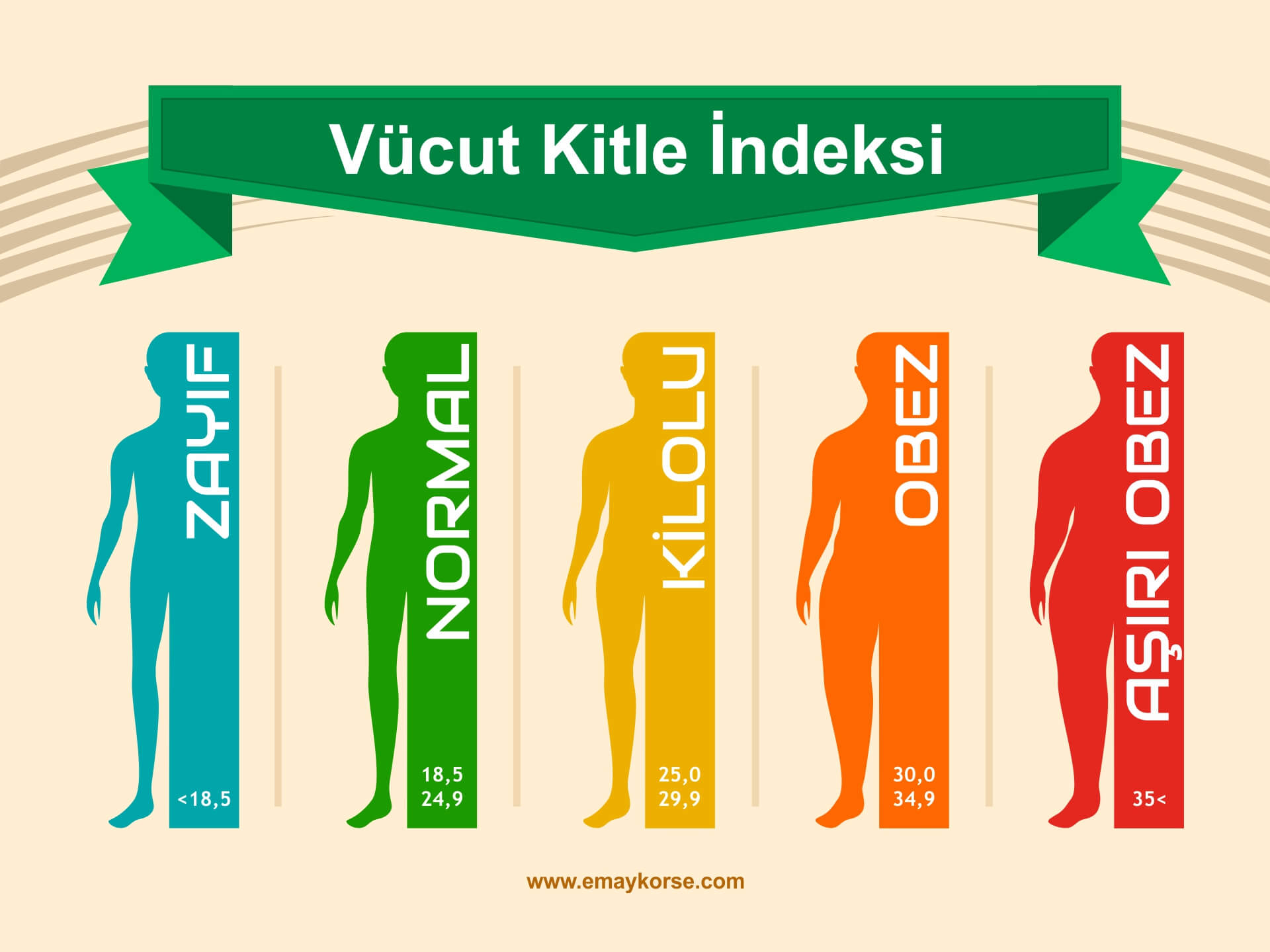 Vücut Kitle İndeksi Tablosu